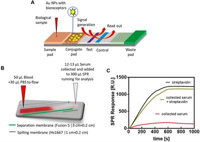 Can classical surface plasmon resonance advance via the coupling to other analytical approaches?